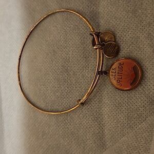 Alex & Ani Seek Solitude Bracelet
